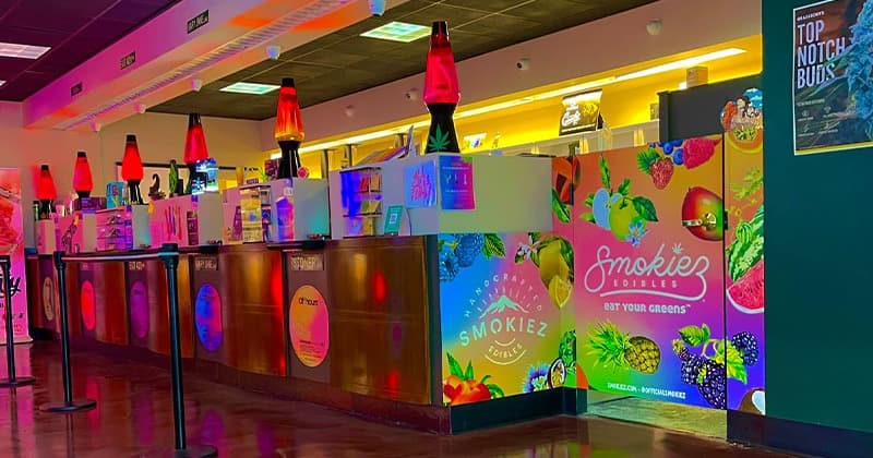 Service counter inside Treehead Culture, with lava lamps and an edible display