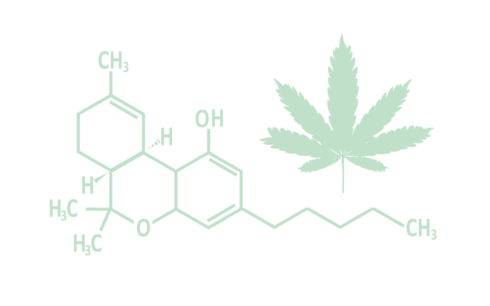 thc education